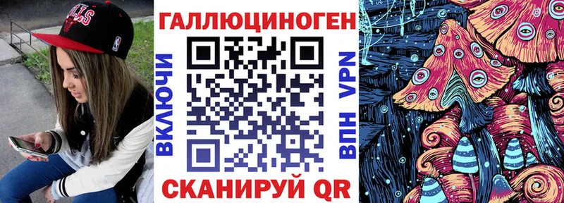 Псилоцибиновые грибы Psilocybe  закладки  Кулебаки 