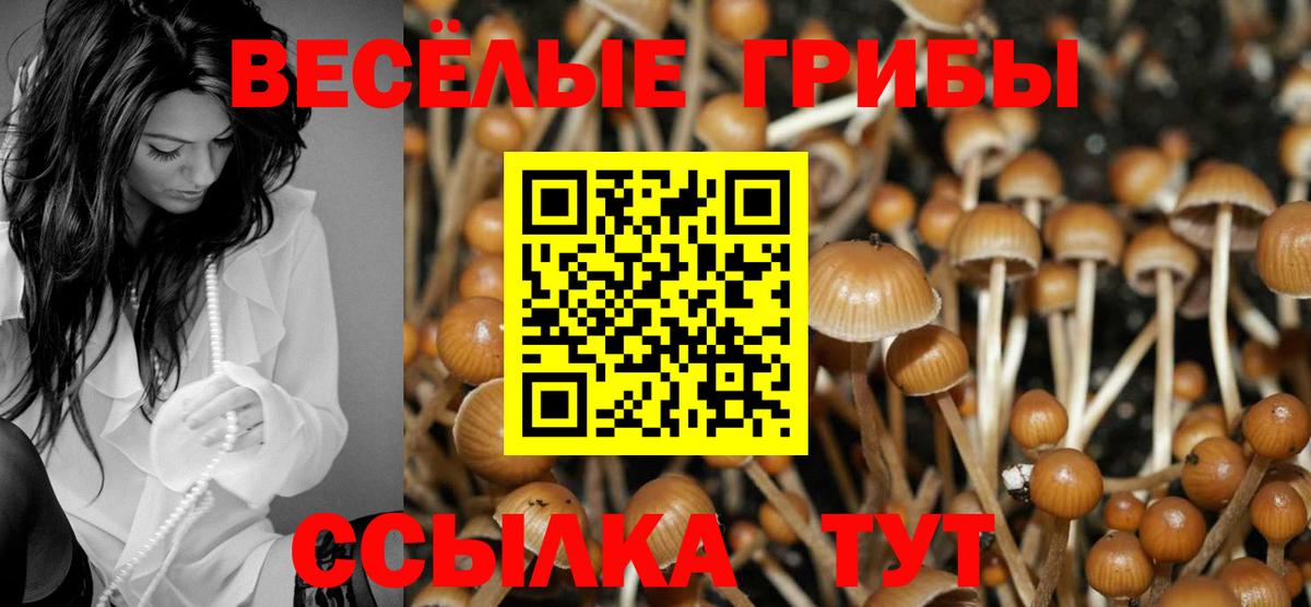 Галлюциногенные грибы MAGIC MUSHROOMS  Псилоцибиновые грибы мицелий  Вход с VPN  Кулебаки 