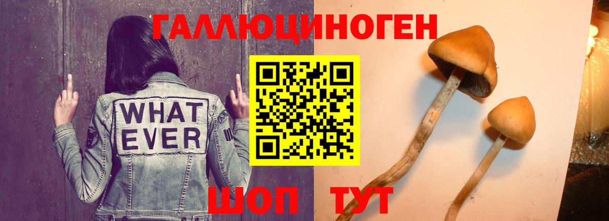 Псилоцибиновые грибы ЛСД Кулебаки